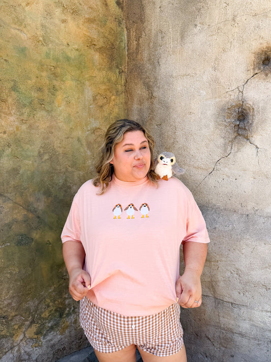 Porgs
