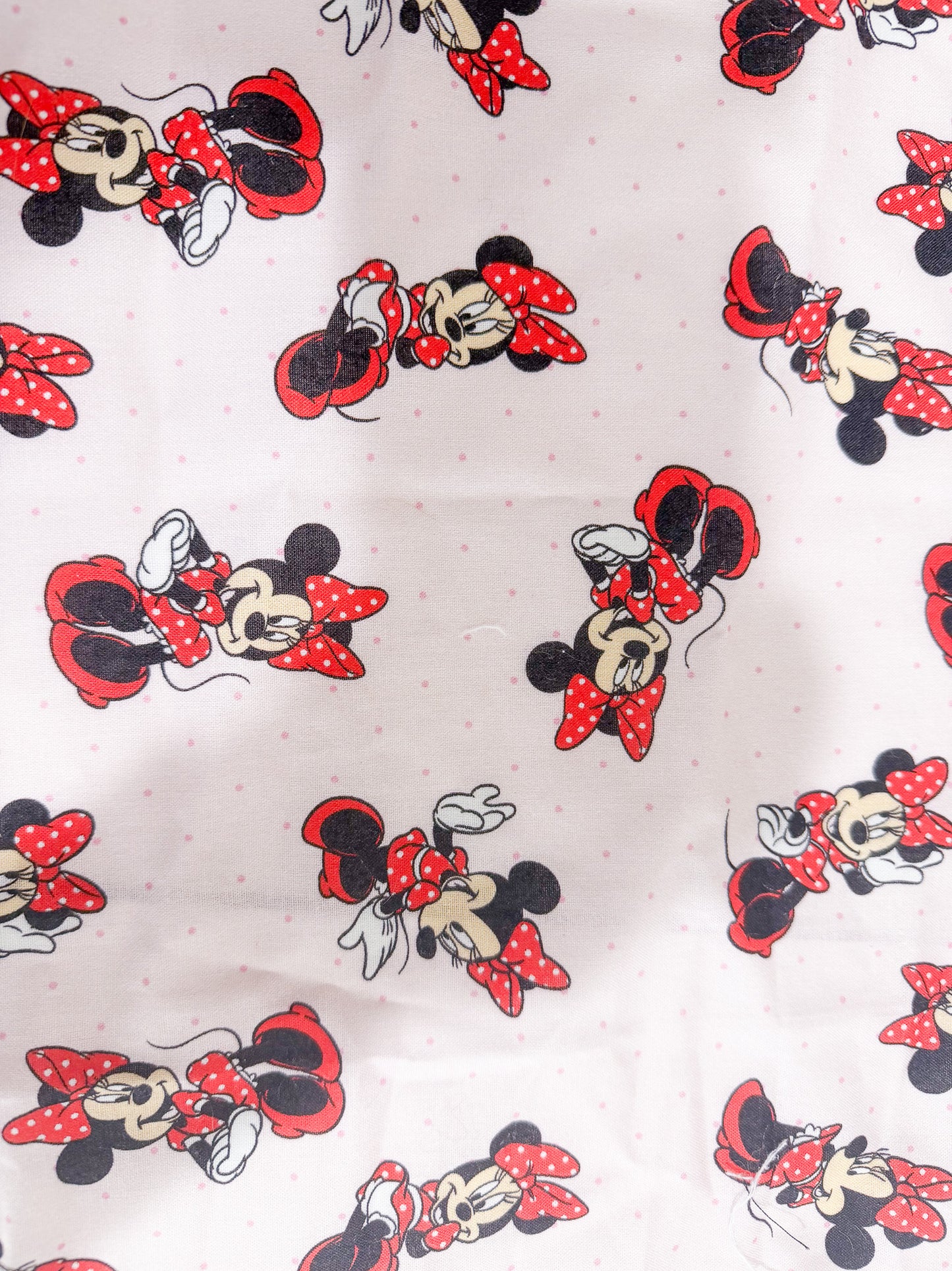 1928 Minnie